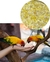 Imagem do CC Parrots 6kg