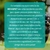 Bebedouro Inteligente BrinqPet 10L - loja online
