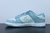 Nk SB Dunk Low Pro