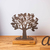 Árvore da Vida - Compō | Decoração Afetiva | Brasil