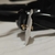 Broquel Baby Roseta – Oro 14 KT - comprar en línea