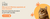 Banner de PetSpot