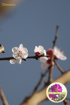 Banner de la categoría vivero