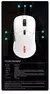 Ajazz-mouse óptico com fio aj129 rgb, 12400 dpi, 7 botões, usb, sensor - loja online