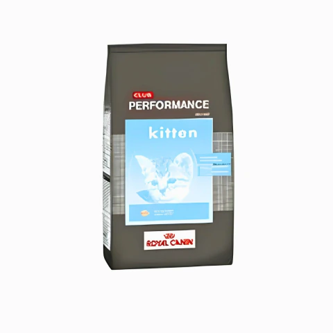 Performance kitten