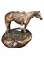 Cavalo com cela na internet