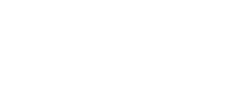 White Dandelions