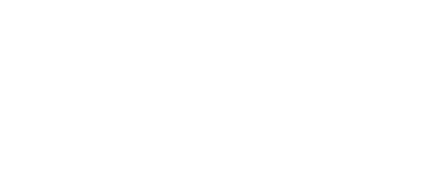 White Dandelions