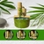 Fonte De Água FengShui De Bambu Zen 2 Quedas Decorativa Verde