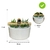 Fonte De Água Cascata Decorativa Bambu Natural Branco Bivolt - comprar online