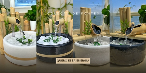 Carrossel 1