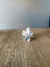 Anillo Firenze en internet