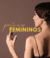 Banner de Viçosa Imports Parfum