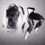 Conjunto de roupa interior térmica masculina mma leggings de fitness base espor - TriboFit