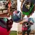 Mochila portátil para animais de estimação, mochila para cães, malha, bolsa - online store