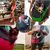 Mochila portátil para animais de estimação, mochila para cães, malha, bolsa - buy online