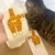 Imagem do 2/1 pares meias de gato bonito com bolas meias de algodão engraçado meias de a