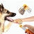 Kit Lixador de Unhas para Cachorro e Gato com 3 Lixas + Alicate - comprar online