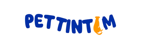 Pettintim