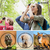 Binocular Largavista Prismaticos Mini 1000 Mts Caza Avistaje - comprar online