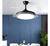 Ventilador De Techo Kanji Retráctil Negro 4 Aspas 6 Velocidades Luz Calida Natural Fria - PLAYSMARTT