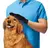 Cepillo Guante True Touch Azul para Perros y Gatos Sacapelos Masajeador - comprar online