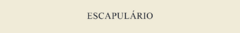 Banner da categoria Escapulário