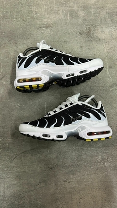 TN Panda
