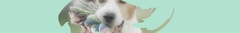 Banner da categoria Brinquedos 