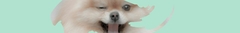 Banner da categoria Promoções