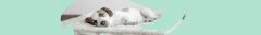 Banner da categoria Camas Pet