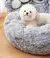Cama Pet Nuvem Cães e Gatos Fleezy Dog na internet