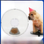 Dispensador de Alimentos Automático Fleezy Dog na internet