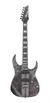 Guitarra Ibanez RGT1221PB DTF Deep Twilight Flat