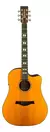 Violão Eletroacústico Waldman DCEX-2041 YL Yellow C/ Bag - comprar online