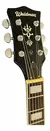 Imagem do Guitarra Elétrica Waldman Semi Acustica GHJ220Q BR Brown