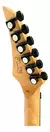 Guitarra Waldman Superstrato WGA320F BR Brown