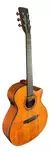 Violão Eletroacústico Waldman GCEX-1141 AMB Ambar Burst C/ Bag - loja online