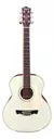 Imagem do Violão Eletroacústico Tagima Porteño SGS Surf Green Satin