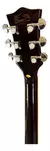 Guitarra Elétrica Waldman Semi Acustica GHJ220Q BR Brown