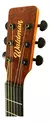 Imagem do Violão Eletroacústico Waldman DCEX-1041 HB Honey Burst C/ Bag