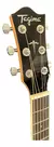 Violão Tagima Walnut Series WS-40 SB Sunburst na internet