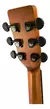 Violão Eletroacústico Waldman DCEX-1041 HB Honey Burst C/ Bag