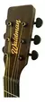 Violão Eletroacústico Waldman DCEX-1041 BK Black C/ Bag na internet