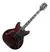 Guitarra Waldman Semi Acústica GHO100 RDM na internet
