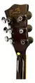 Guitarra Semi Acústica Waldman Hollow Body GHO220Q BK Black