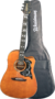 Violão Eletroacústico Waldman TDCEX-641 VT C/ Bag