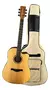 Violão Eletroacústico Waldman DCEX-1041 NAT Natural C/ Bag