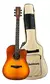 Violão Eletroacústico Waldman DCEX-1041 HB Honey Burst C/ Bag