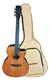 Violão Eletroacústico Waldman GCEX-1141 AMB Ambar Burst C/ Bag